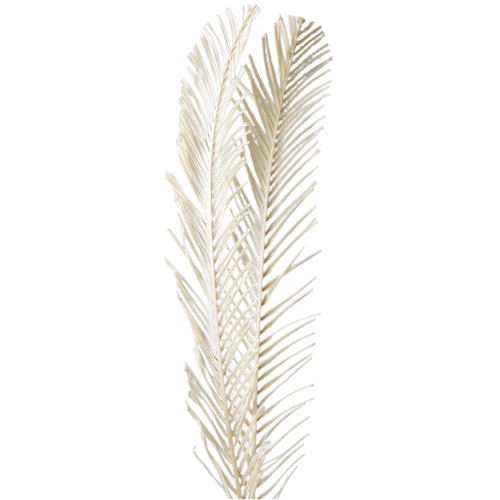A floral bunch of Preserved Twisted Palm Large White