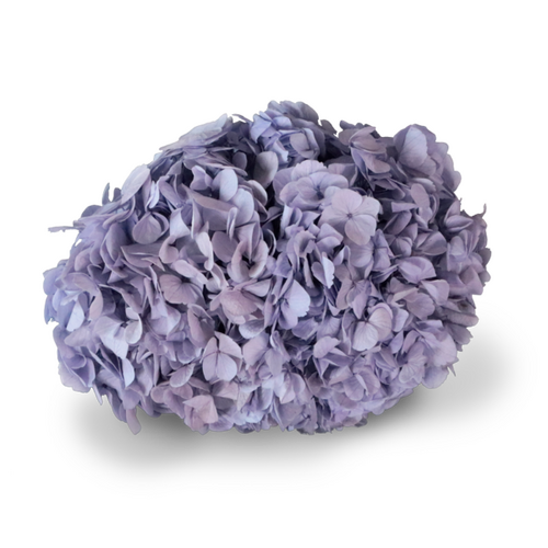 A floral stem of Preserved Hydrangea Light Violet Flowers