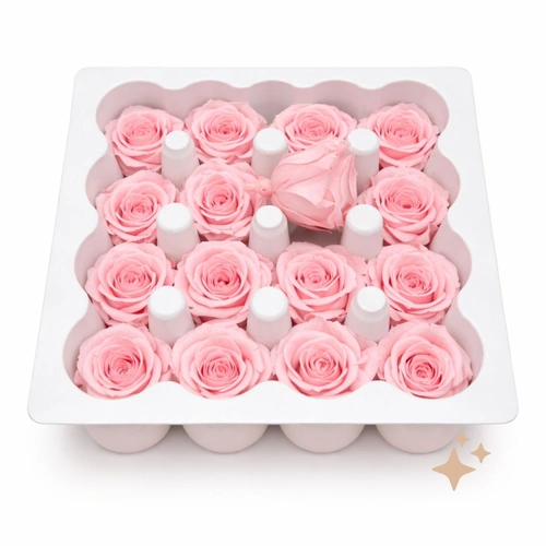 Preserved Sprayroses 16 pack 2cm Baby Pink everlasting flowers for all occasions.