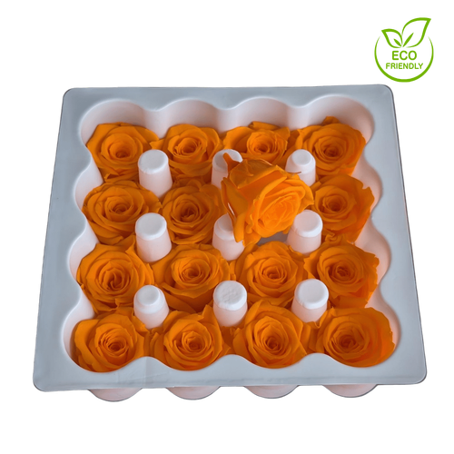 A closeup image of a VERMEILLE Ava Preserved Sprayrose Orange Flower