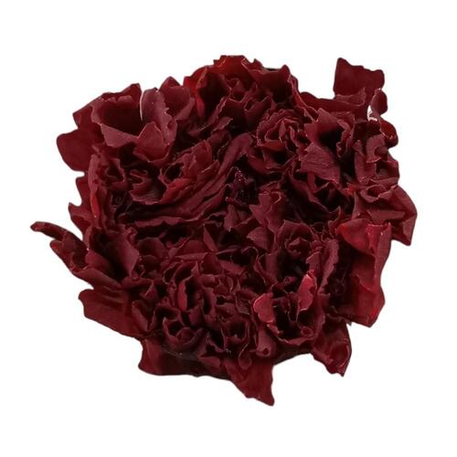 Buy Preserved Carnations, Burgundy - 6 Blooms - All In Season | Dried Flower Wholesale