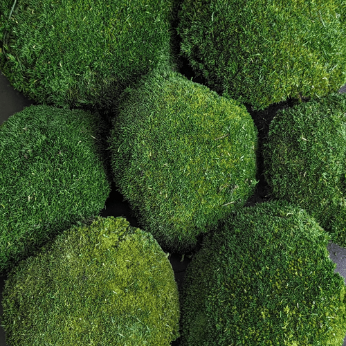 Buy Preserved Ball Moss - Nature Green by All In Season
