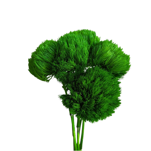 Buy Preserved Green Ball - Natural Green wholesale | All InSeason