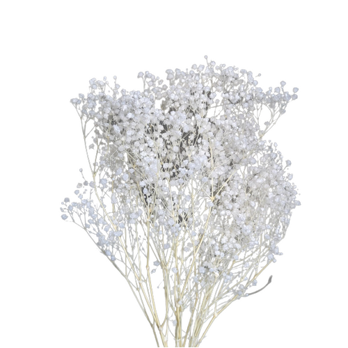 A floral bunch of Preserved Xlence Gypsophila White Flowers | Also known as Baby Breath