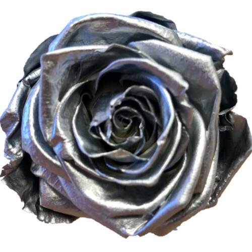 A close up image of a Preserved KIARA Super Rose Silver Flower