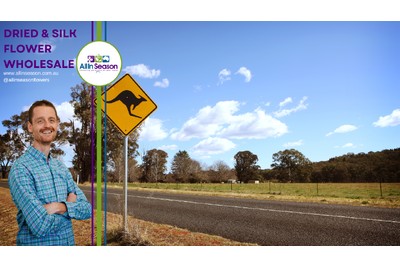 Rural And Remote Flower Business Expert Interviews