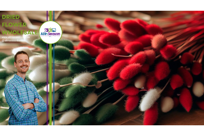 Our Wholesale Dried Flowers Christmas Collection: A Festive Delight for Florists and Decorators