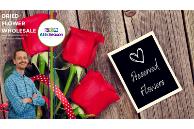 Everlasting Love: The Heartfelt Trend of Preserved Flowers in Australia for Valentine's Day 2024