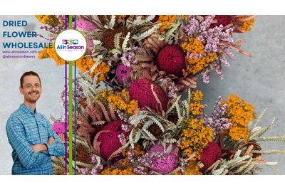 Top 7 Australian Grown Dried Native Flowers