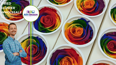 Preserved Rose Glossary 2025 | All InSeason Australia